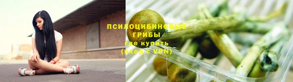 хмурый Гусиноозёрск