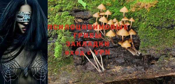 амфетамин Гусев