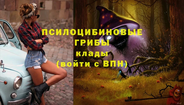 кокаин премиум Гусь-Хрустальный