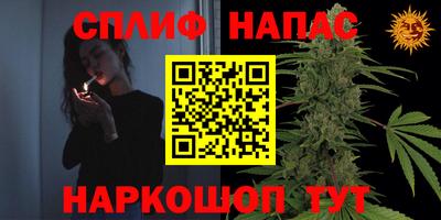 молекула духа Гусиноозёрск