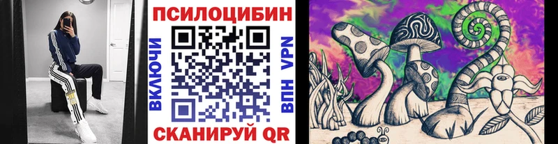купить закладку  Мелеуз  MEGA вход  Галлюциногенные грибы Psilocybe 