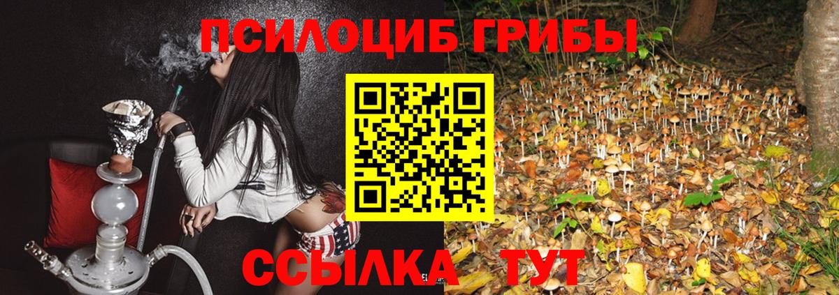 Галлюциногенные грибы мицелий  Вход с VPN  как найти   Мелеуз  Галлюциногенные грибы Magic Shrooms 