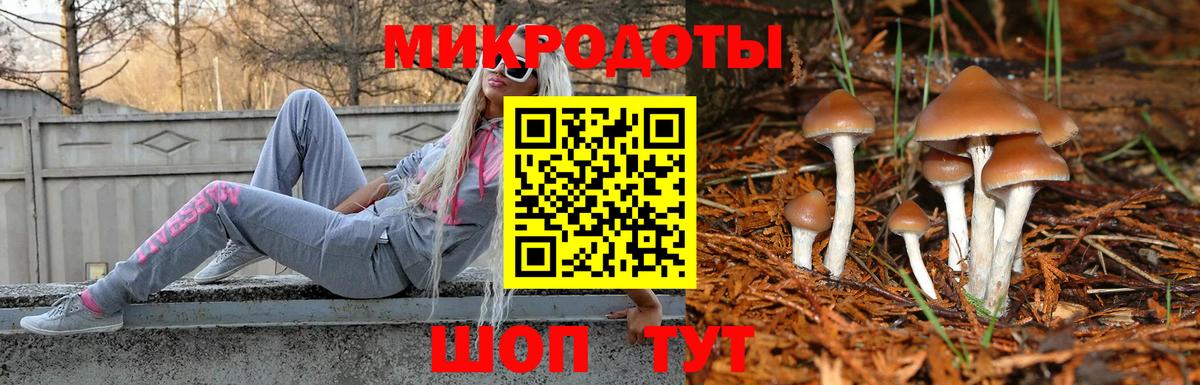 Галлюциногенные грибы GOLDEN TEACHER Мелеуз